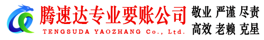 莘县讨账公司